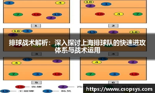 排球战术解析：深入探讨上海排球队的快速进攻体系与战术运用